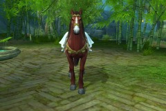 Cavalo-Vermelho-da-Tempestade-WesleyHP-2