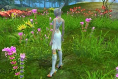 Conjunto-da-Ilusionista-Feminino-03
