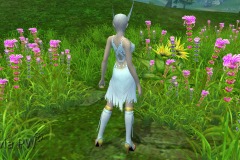 Conjunto-da-Ilusionista-Feminino-04