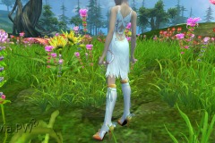 Conjunto-da-Ilusionista-Feminino-15