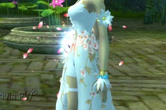 Flor-Esplendor-WesleyHP-3