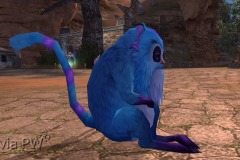 Lemuri-Gigante-WesleyHP-1