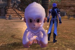 Macaco-da-Neve-Bebê-WesleyHP-2
