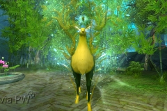 Rena-Espiritual-Mostarda-WesleyHP-2