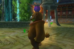 1_Urso-Marrom-de-Mestre-WesleyHP-3